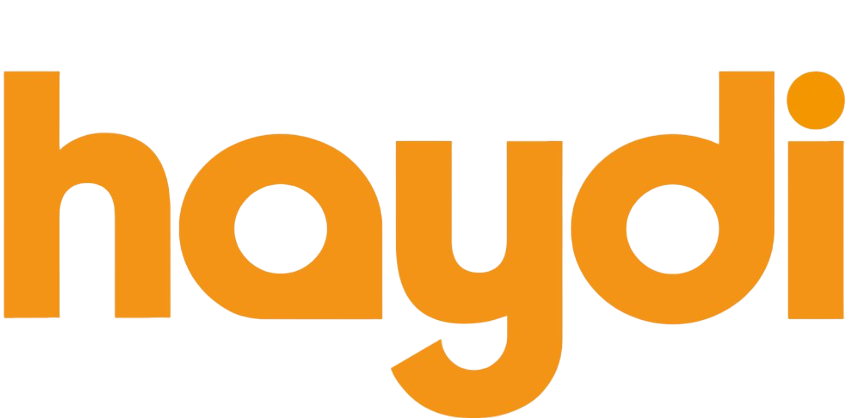 Haydi Logo